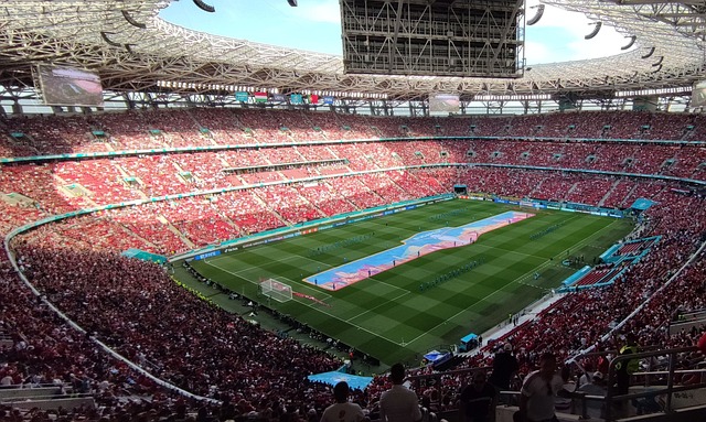 球迷带来了 球迷带来了