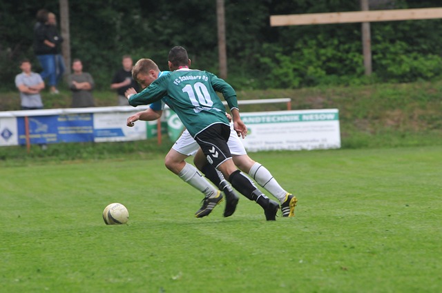 向更高的目 向更高的目