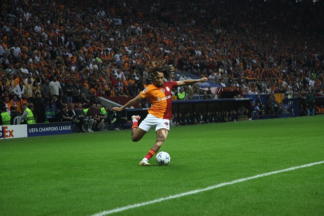 正是这种全 正是这种全