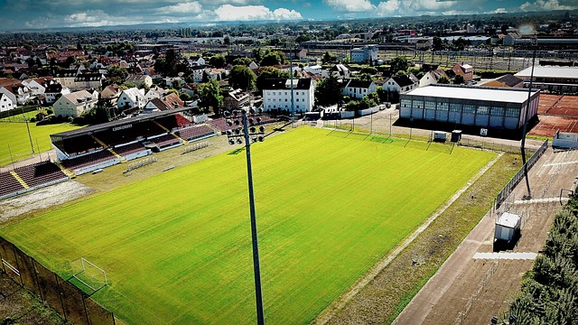 運的原因分 運的原因分